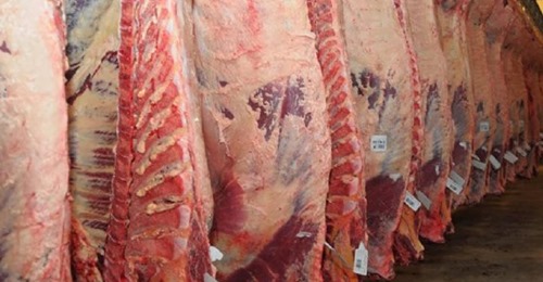 Distorsión en el precio de los alimentos: el kilo de asado cuesta unos $640, pero el productor recibe apenas 153 pesos Distorsión en el precio de los alimentos: el kilo de asado cuesta unos $640, pero el productor recibe apenas 153 pesos