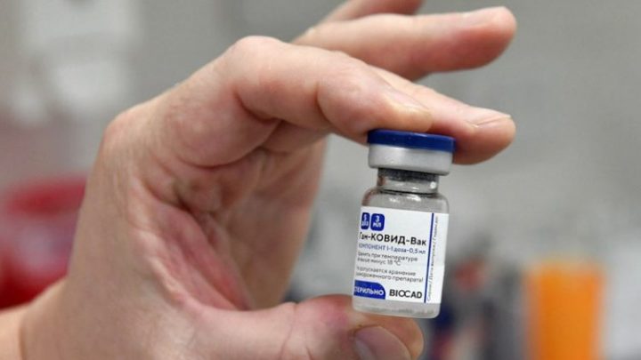 Coronavirus: Carla Vizzotti aseguró que “Argentina está negociando con todos los laboratorios productores” de vacunas