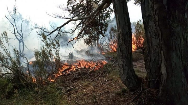 Incendio de pastizales en Ushuaia