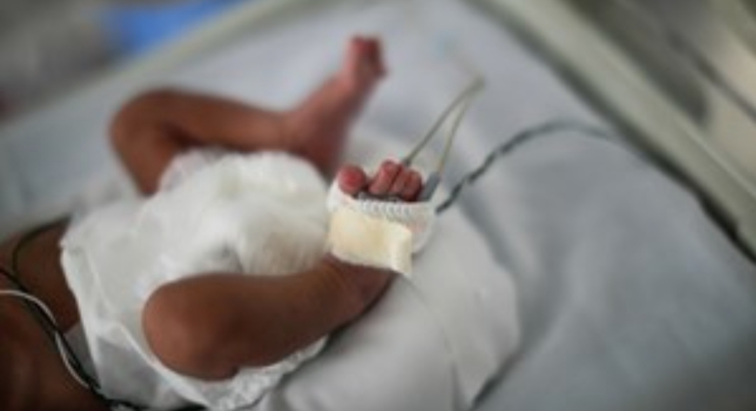 Vacunaron contra el coronavirus a una embarazada y el bebé nació con anticuerpos