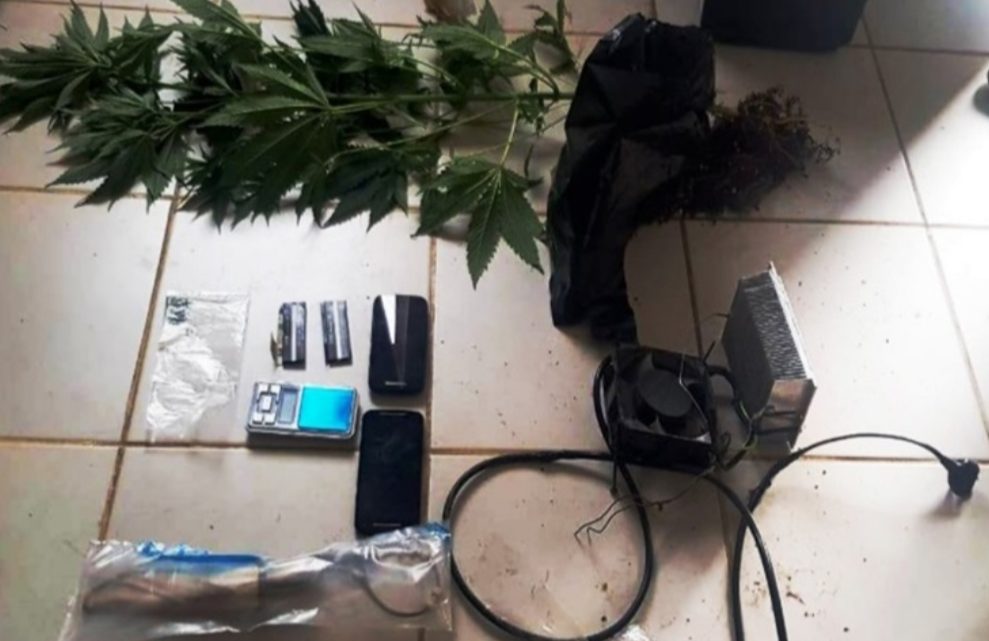 Allanamiento por robo una pareja involucrada Allanamiento por robo una pareja involucrada