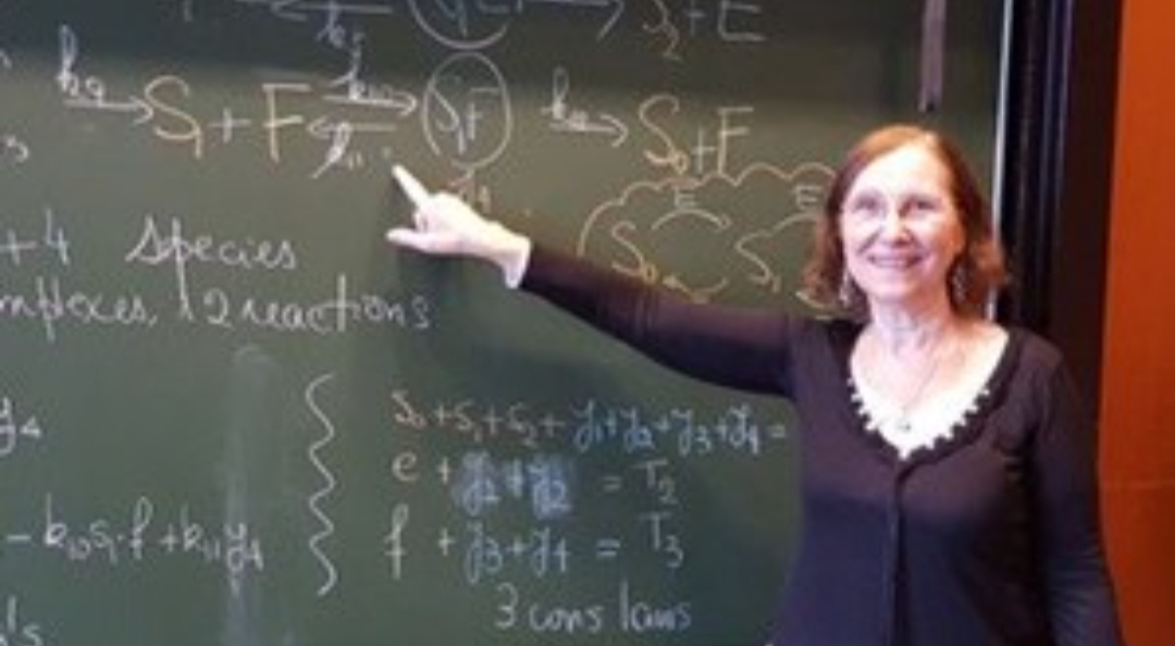 Una matemática argentina ganó el premio mundial «Por las Mujeres en la Ciencia» Una matemática argentina ganó el premio mundial «Por las Mujeres en la Ciencia»