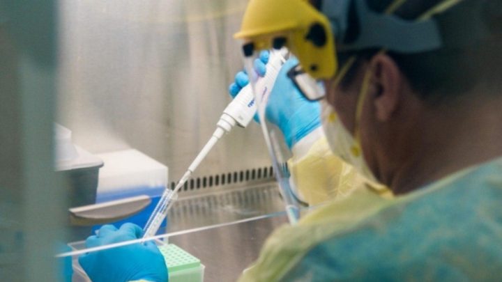 Informaron que se mantiene la caída progresiva de casos de coronavirus en Tierra del Fuego