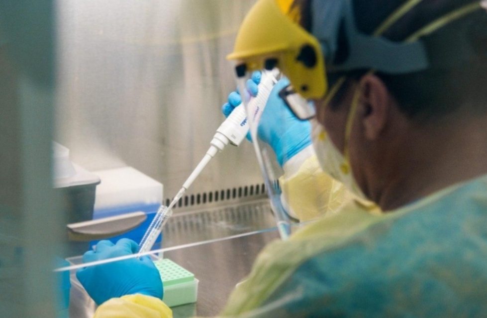Informaron que se mantiene la caída progresiva de casos de coronavirus en Tierra del Fuego Informaron que se mantiene la caída progresiva de casos de coronavirus en Tierra del Fuego