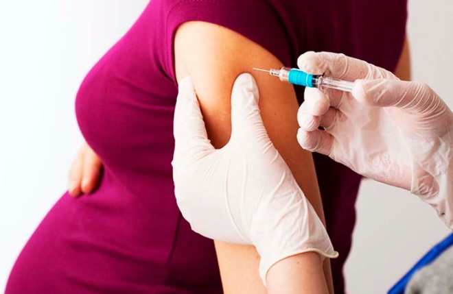 Pfizer probará en Argentina su vacuna contra el coronavirus en mujeres embarazadas Pfizer probará en Argentina su vacuna contra el coronavirus en mujeres embarazadas