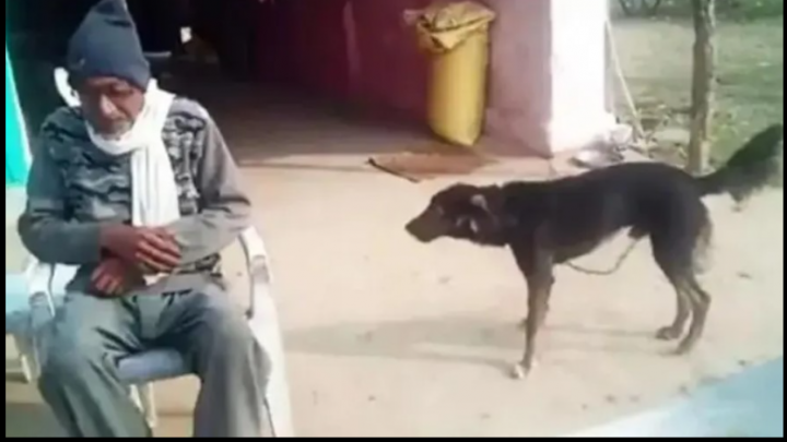 «Me quiere más que mi familia»: decepcionado de sus hijos, le dejó la herencia a su perro