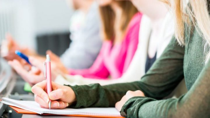 “Pagá ratón”: el inesperado mensaje que envió una universidad a sus alumnos