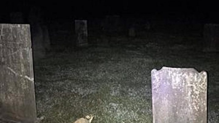 Captaron la silueta de un fantasma en un cementerio (y sí, hay fotos)