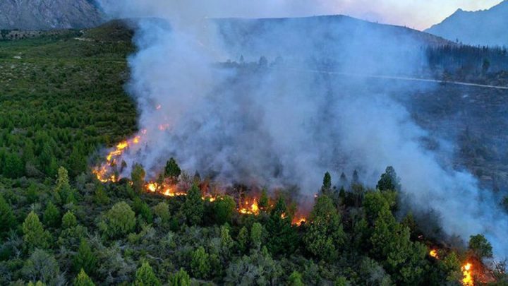 Seis personas fueron imputadas por autoría del incendio forestal en El Bolsón