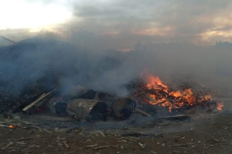 Incendio en quemadero de un aserradero