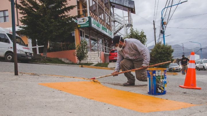 TRABAJOS COMPLEMENTARIOS DE LIMPIEZA Y PINTURA EN LA AVENIDA ALEM