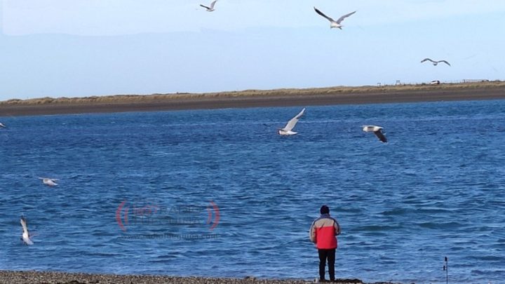 ¡Sigue el buen tiempo!: Cómo estará el clima durante lunes y martes