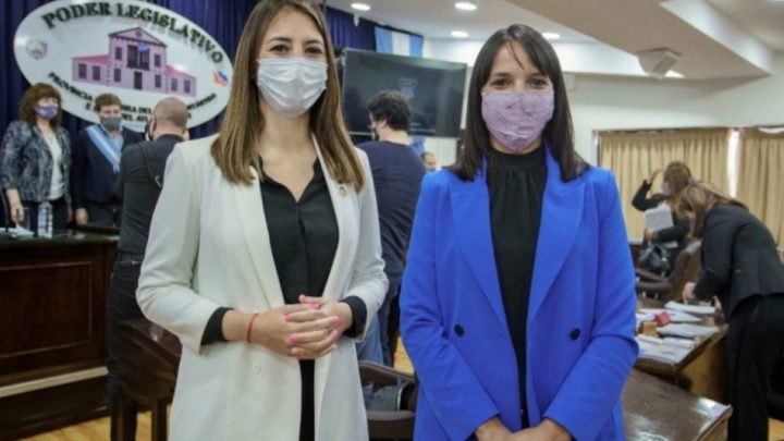 El Partido Verde solicitó que se convoque urgente a la ministra de Educación a la Legislatura