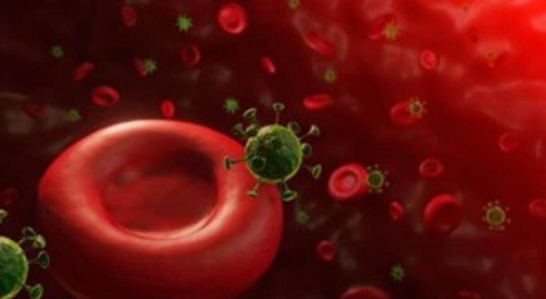Confirman que el coronavirus es más agresivo con gente que tiene un tipo de sangre específico Confirman que el coronavirus es más agresivo con gente que tiene un tipo de sangre específico