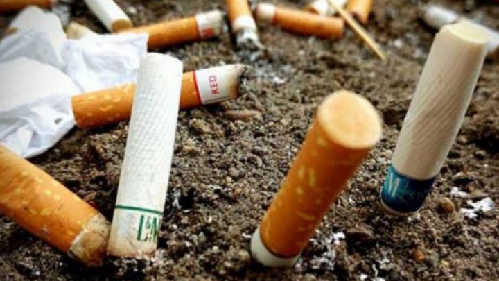 Ushuaia se suma a la campaña ambiental «Marzo sin colillas»