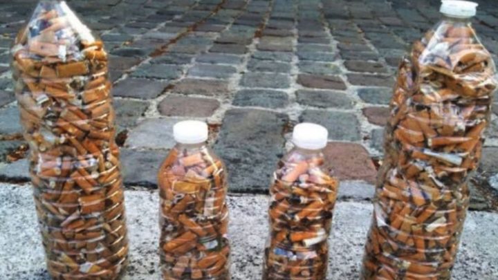 “A limpiar Ushuaia”: intercambian botellas con colillas de cigarros por una planta
