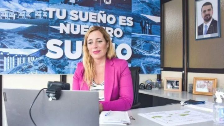 Henriques Sanches: “En los próximos días volveremos a abrir el turnero para PROCREAR”