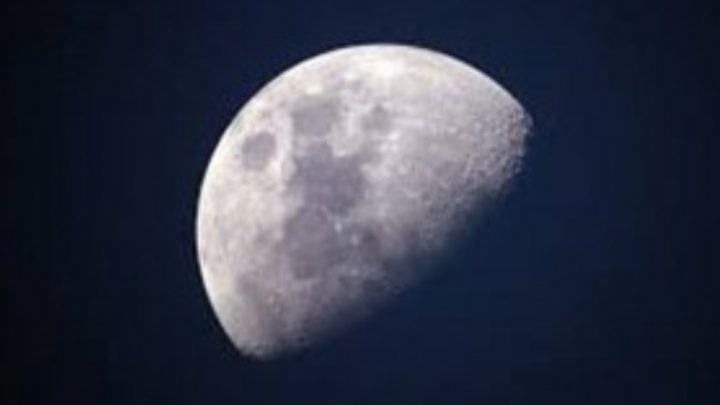 Proponen crear un banco de esperma en la luna para proteger a la humanidad
