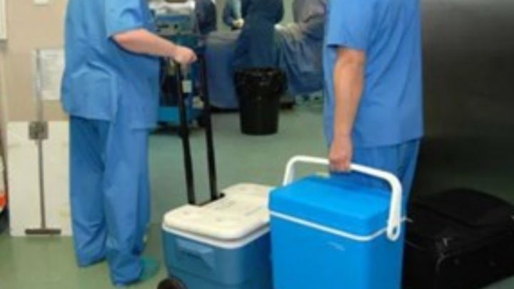 Hepatitis C ya no es impedimento para donar órganos o recibir un trasplante