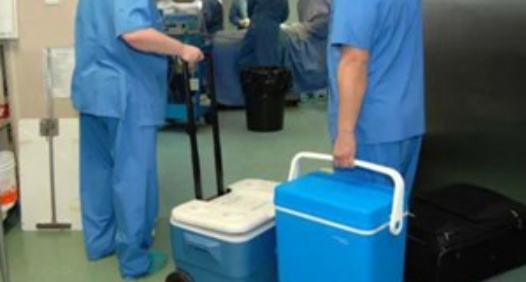 Hepatitis C ya no es impedimento para donar órganos o recibir un trasplante