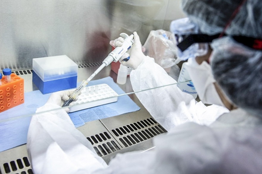 Tierra del Fuego sumó 327 nuevos contagios y ya son 377 los fallecidos por coronavirus Tierra del Fuego sumó 327 nuevos contagios y ya son 377 los fallecidos por coronavirus