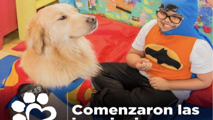 Se encuentran abiertas las inscripciones para la Terapia asistida con Perros para niños con autismo