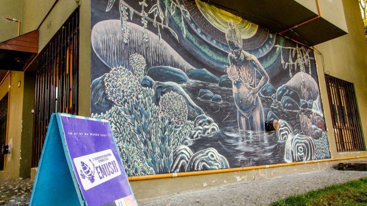 LOS VECINOS Y VECINAS DE USHUAIA YA PUEDEN VISITAR LOS MURALES DEL EMUSH 2021
