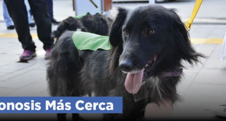 ZOONOSIS MÁS CERCA VISITARÁ EL BARRIO ANDORRA