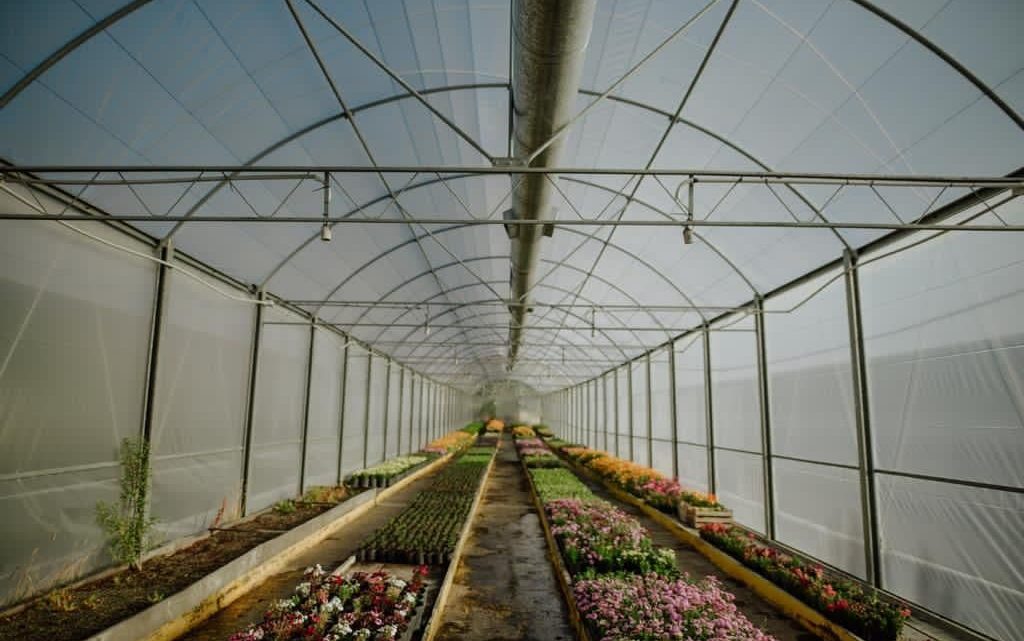 LA PRODUCCIÓN PROPIA DE PLANTAS Y ÁRBOLES DE LA MUNICIPALIDAD DE USHUAIA PERMITIÓ AHORRAR 7 MILLONES DE PESOS LA PRODUCCIÓN PROPIA DE PLANTAS Y ÁRBOLES DE LA MUNICIPALIDAD DE USHUAIA PERMITIÓ AHORRAR 7 MILLONES DE PESOS