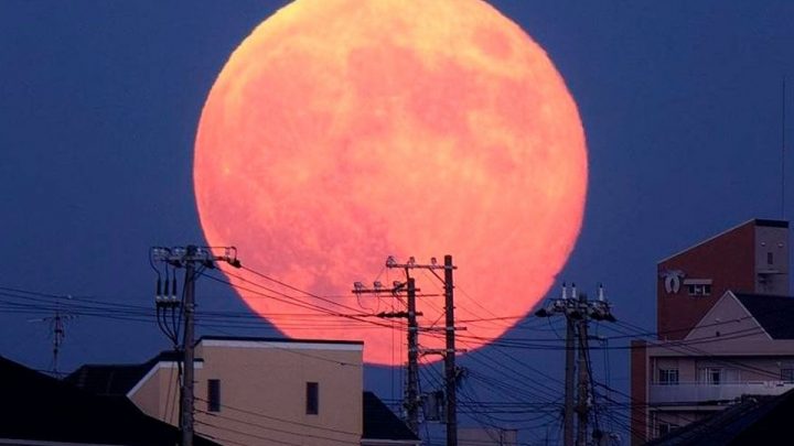 Superluna rosa: dónde y cómo ver la luna llena de abril 2021
