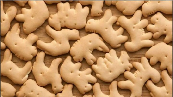 Veganos quieren que se prohíban las galletitas con formas de animales