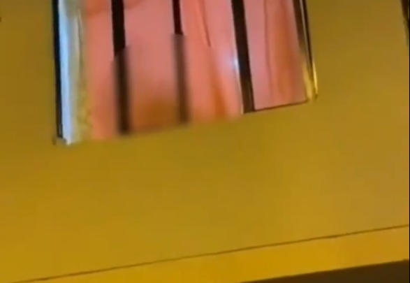 Le llevó serenata a su amor y le dio la cana «cabeceando un pupo»