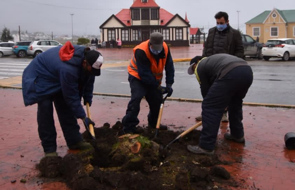 LA MUNICIPALIDAD DE USHUAIA REFORESTÓ LA PLAZA PIEDRABUENA Y LA RIVERA DEL ARROYO BUENA ESPERANZA LA MUNICIPALIDAD DE USHUAIA REFORESTÓ LA PLAZA PIEDRABUENA Y LA RIVERA DEL ARROYO BUENA ESPERANZA