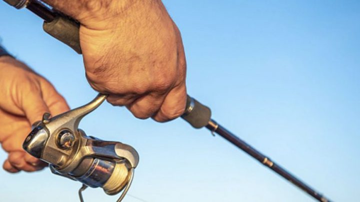 Obligó a su pareja a correr por un campo desnuda, la filmó y le pegó con una caña de pescar