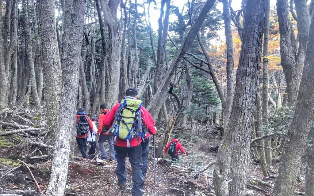 Dos hombres se extraviaron en el glaciar Ojo del Albino