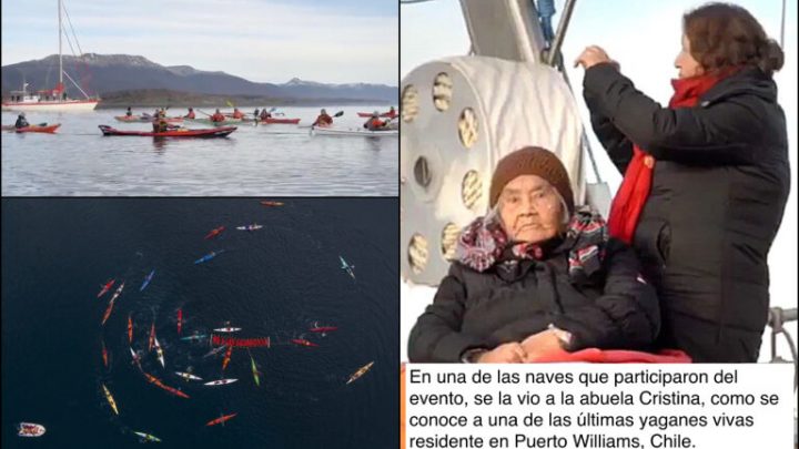 Argentinos y chilenos unidos contra las salmoneras