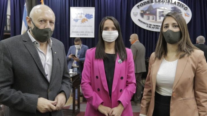 LA MINISTRA QUE QUIERE SER DIPUTADA NO DA LA CARA EN LA LEGISLATURA