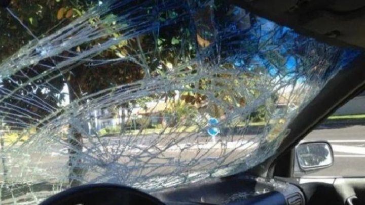 Le Gritó Desde El Auto «Mové El Culito, Mamita» Y Ella Le Reventó El Parabrisas A Piedrazos