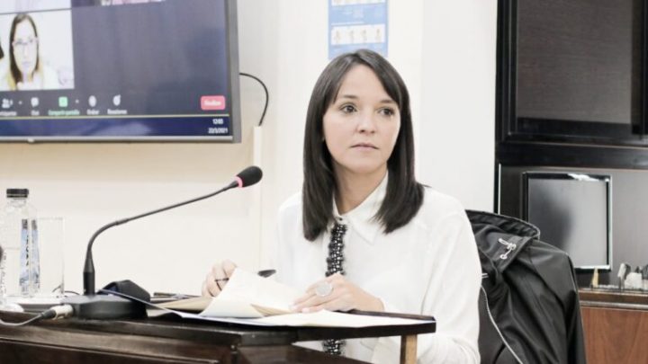 “Es evidente la reticencia del Gobierno a brindar información y la falta de diálogo político”, afirmó la legisladora Vuoto