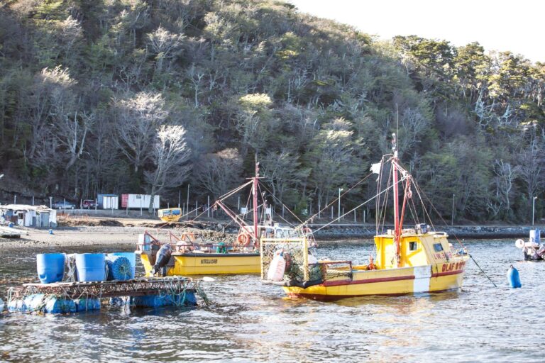 Reclamos de vecinos de Almanza: “Queremos mantener una población netamente productiva y pequeña”