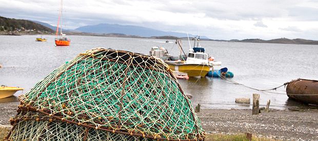 Puerto Almanza elige su destino