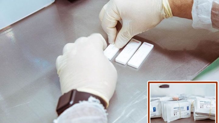 Autorizan venta en Argentina del Test de anticuerpos producidos en el Laboratorio del Fin del Mundo