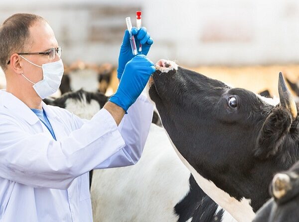 En plena pandemia: un veterinario está a cargo de Epidemiología de la provincia En plena pandemia: un veterinario está a cargo de Epidemiología de la provincia
