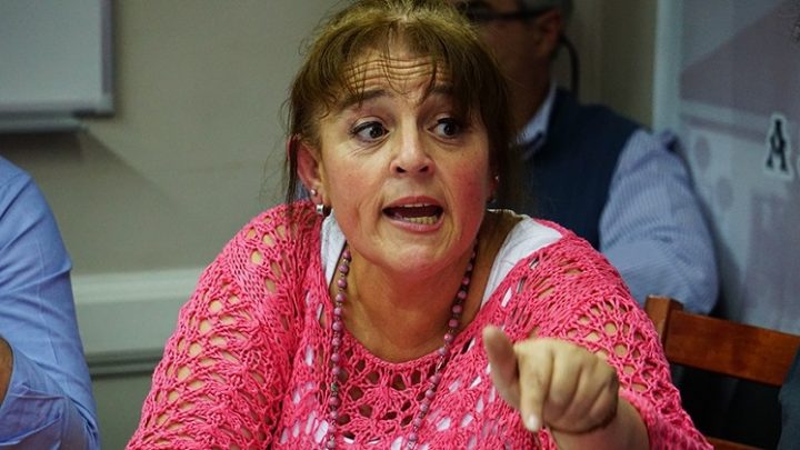 Escuelas: «No es que no hay calefacción, tenemos una temperatura menor a la esperada», dijo Castillo