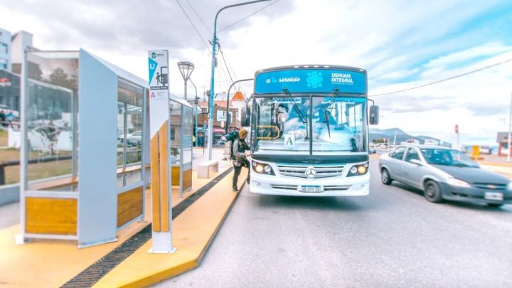 Colectivos: “Donde pasa el transporte público se abren oportunidades”, valoró Bocchicchio