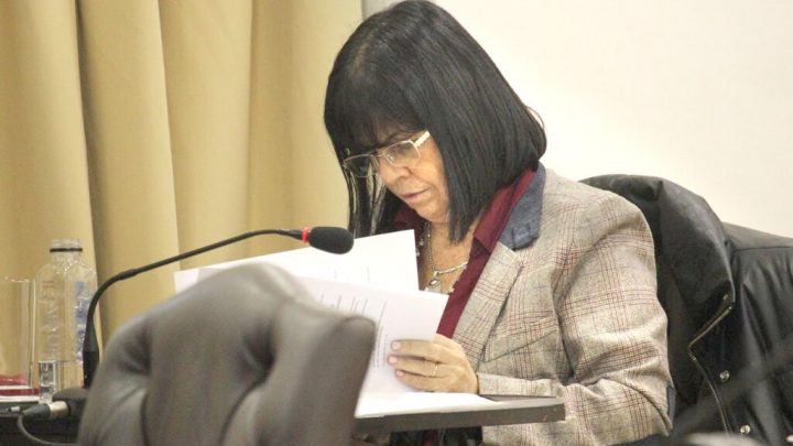 “No podemos darnos el lujo de que por cuestiones edilicias se vea afectado el dictado de clases”, reclamó Martínez Allende