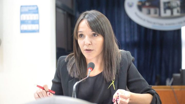 Deuda de coparticipación: “Llegado hasta este punto, la solución es concretar una audiencia virtual”