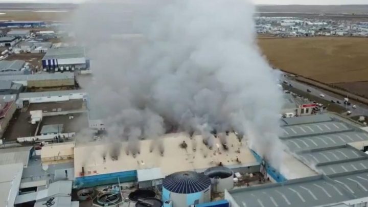 Australtex: Hubo acuerdo entre Setia y la empresa por las suspensiones