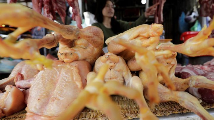 China detectó el primer caso mundial de gripe aviar H10N3 en humanos