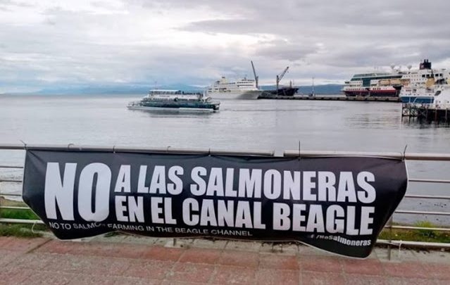 En Tierra del Fuego por Ley se prohibirá la cría de salmones